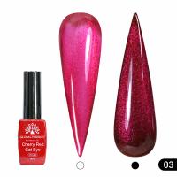 Гель лак кошачий глаз Cherry Red Cat Eye Global Fashion, 8мл, 003