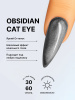 Гель лак кошачий глаз Obsidian Cat Eye Global Fashion, 8мл, 001