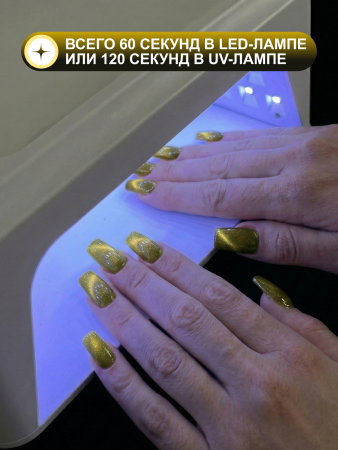 Гель лак кошачий глаз, Global Fashion, Fruit cat eyes 11D 8ml, 09, carambola