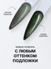Гель лак кошачий глаз Obsidian Cat Eye Global Fashion, 8мл, 005