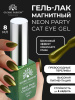 Гель лак кошачий глаз Neon Party Cat Eye Global Fashion, 8мл, 010