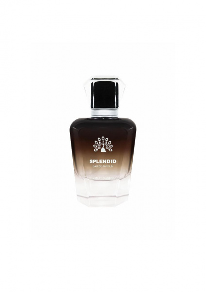 Парфюмерная вода от Global Fashion 100 ml, Splendid