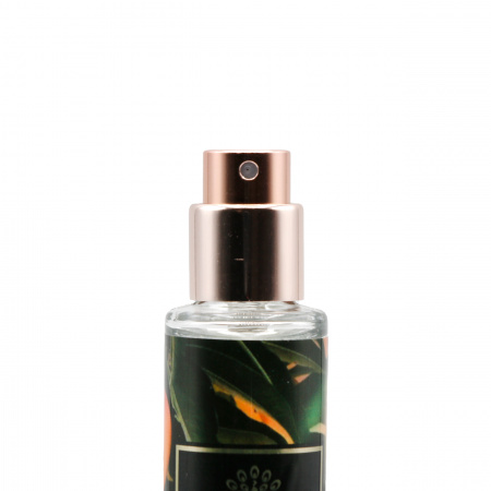 Парфюмерная вода от Global Fashion 25 ml, Summer Mango