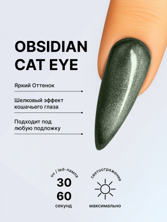 Гель лак кошачий глаз Obsidian Cat Eye Global Fashion, 8мл, 005
